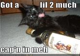 Got a little Captain in You?