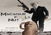Anagrammed Movie Posters