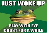Foul Bachelor Frog