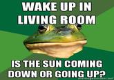 Foul Bachelor Frog