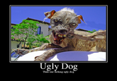 Sam the World's Ugliest Dog