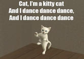 Kitty Cat Dance