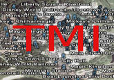 TMI(too much information)