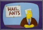 I, For One, Welcome Our New Insect Overlords