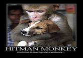 Hitman Monkey