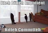 Itteh Bitteh Kitteh Committeh