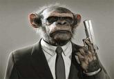 Hitman Monkey