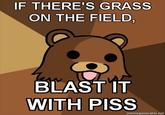 Blast It With Piss!