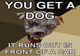 Cynical Dog