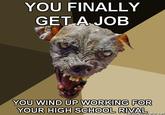 Cynical Dog
