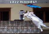 Jazz Hands
