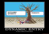 DYNAMIC ENTRY!
