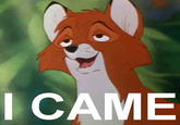 I came