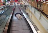 Lying Down Game