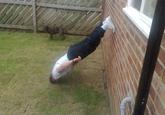 Lying Down Game