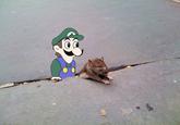 Sad Rat
