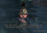 Stop right there criminal scum!