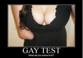 Gay Test
