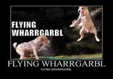 WHARRGARBL / Sprinkler Dog