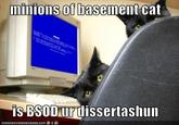 Basement Cat