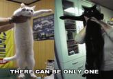 Tacgnol