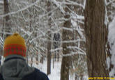 Slender Man
