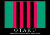 Otaku Test