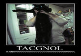 Tacgnol