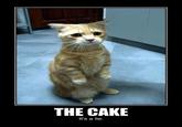 The Cake Is a Lie