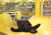 Playing Dead
