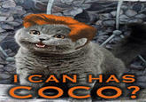 I'm with COCO