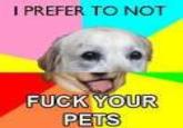 Combo Dog