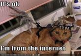Don't Worry, I'm From the Internet