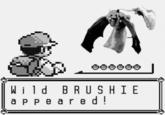 Brushie Brushie Brushie