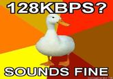 Technologically Impaired Duck