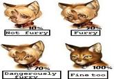 A cat is fine too....