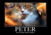 Peter the Cat (The King of /b/)