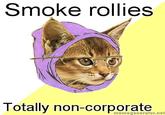 Hipster Kitty