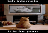 The Internet Is For Porn