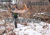 Dorgas