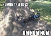 Om Nom Nom Nom