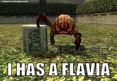 Garry's Mod