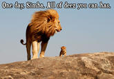 LOLcats