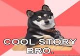 Cool Dog