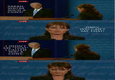 Biden / Palin Debate 4pane