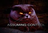 Assuming Control