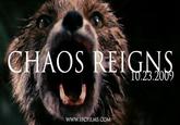 chaos reigns