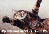 e-penis