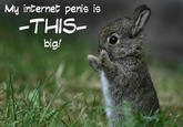 e-penis