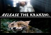 Release The Kraken!
